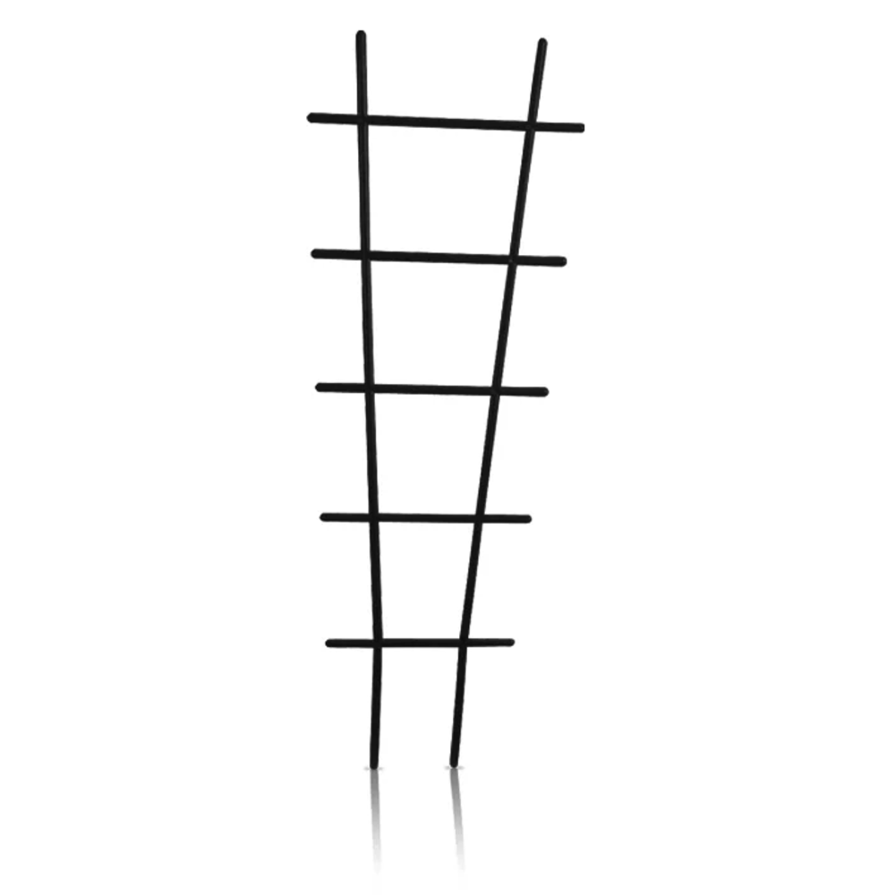 img 1